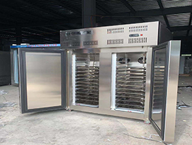 Compressor Quick Freezing Machine-80 Degree 10 Layer Pallet