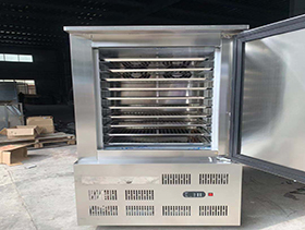Compressor Quick Freezing Machine-45 Degree-10 Layer Pallet